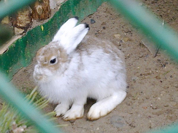 Катя Буланова