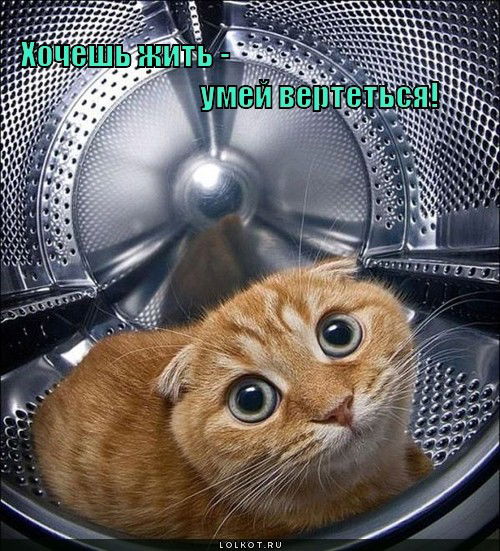 Наталья Яценко