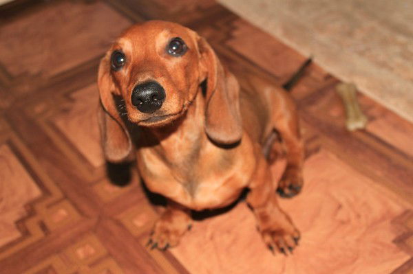 Кирил Самаров