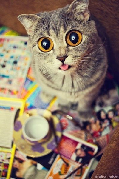 Меруерт Турсунбекова