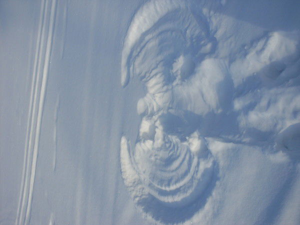 Людмила Харченко