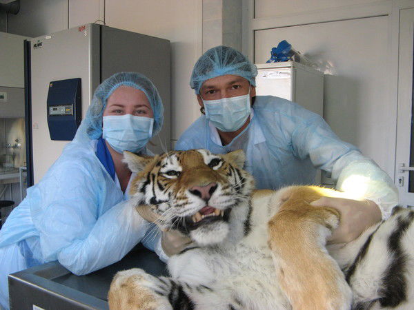 Роман Валеев