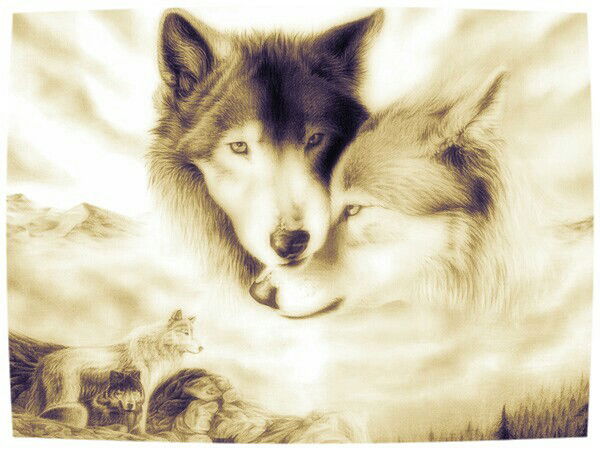 Коля Лисовский