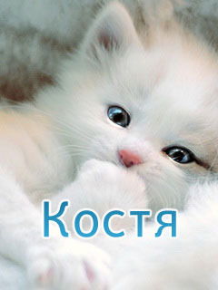 Просто Костик