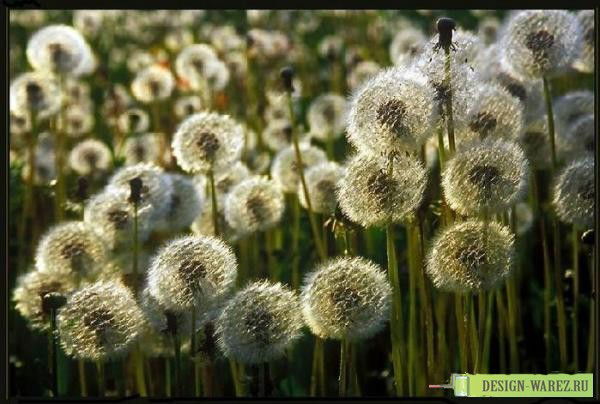 Наталья Кулачкова