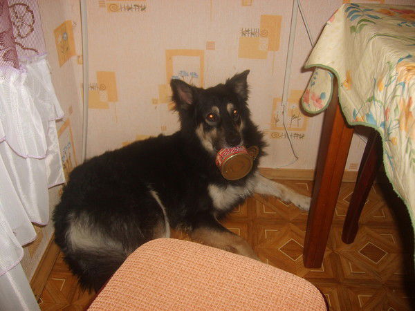 Геннадий Пестов