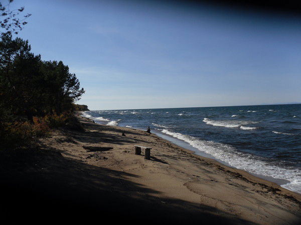 Светлана Знаменская