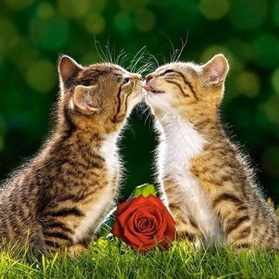 Алина Магданова