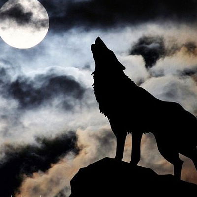 Маша Шувалова