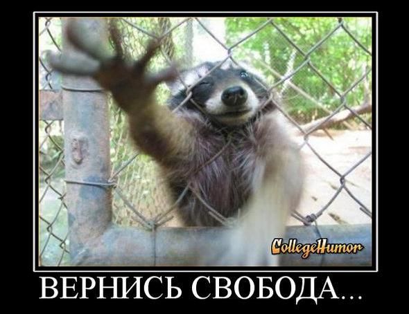 Сергей Чикиткин