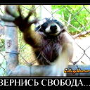 Сергей Чикиткин