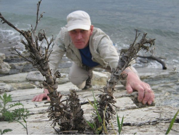 Андрей Астафьев