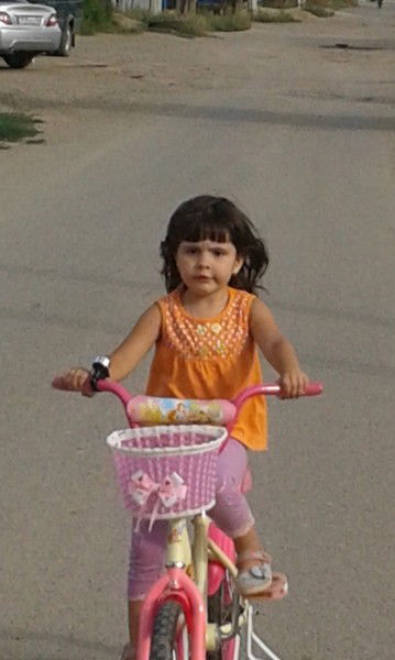 Алексей Требисов