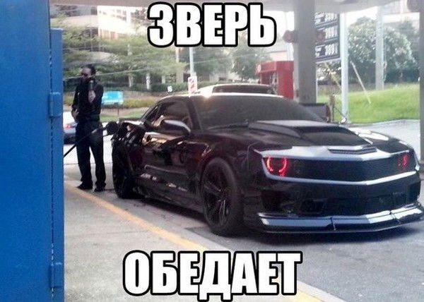 Настя Мордасова