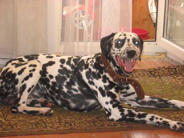 Татьяна Маркова