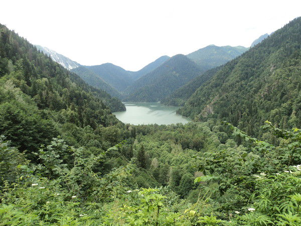 Олеся Шефер