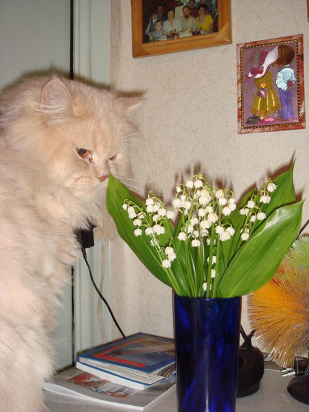 Татьяна Колганова