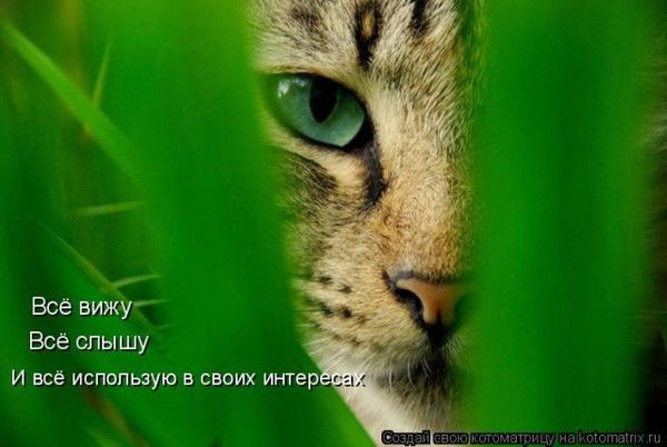 Николай Загуменов