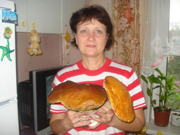 Елена Шереметьева