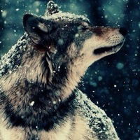 Рашидова Ася