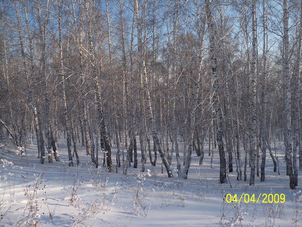 Татьяна *****