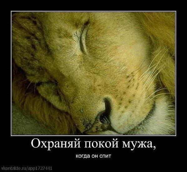 Доморов Кара-Кульский