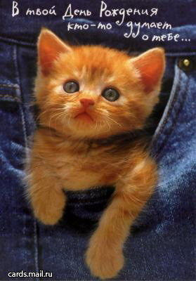 Елена Кондрашова