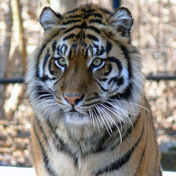 Владимир Марченко