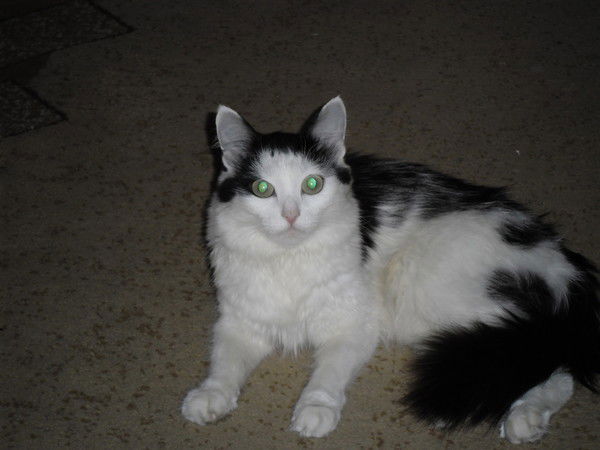 Игорь Грузинов