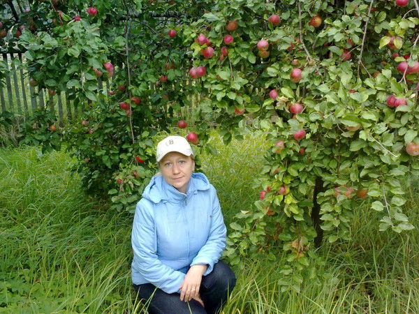 Елена Нетунаева