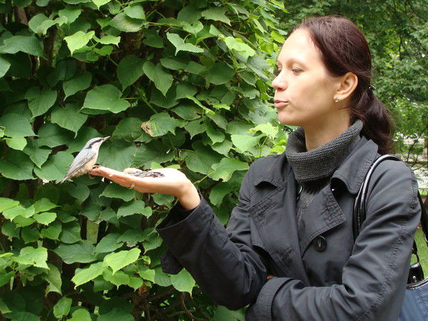 Елена Лобанова