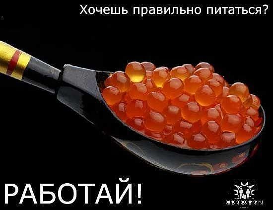 Елена Виноградова