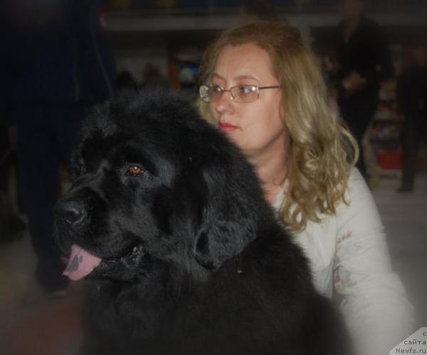 Елена Степанова