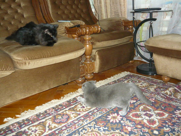 Мария Чуминок