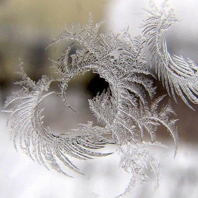 Даша Калина