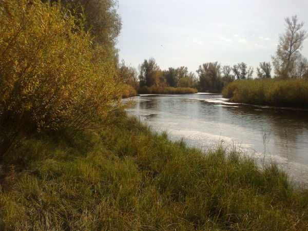 ** Кривинка**