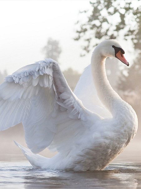 А Я Влюблена