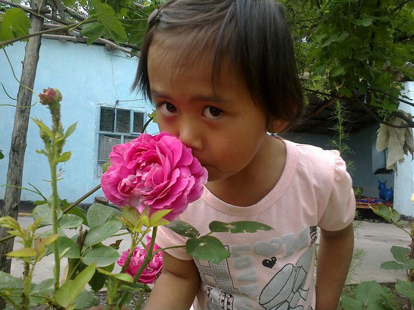 Чынара Салиева