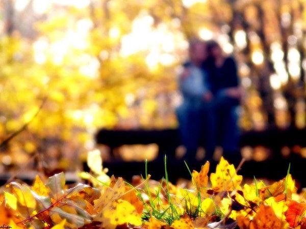 Магазин Ого