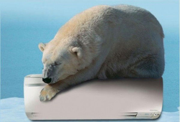 Арктика Смк