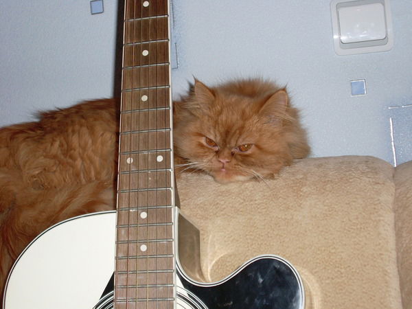 Владимир Леонтьев