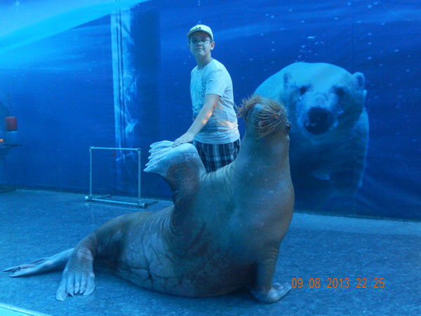 Павел Безруков