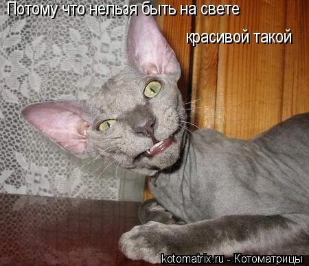 Елена Иванова