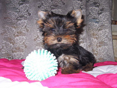 Наталия Коноплева