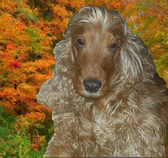 Юрий Харитонов