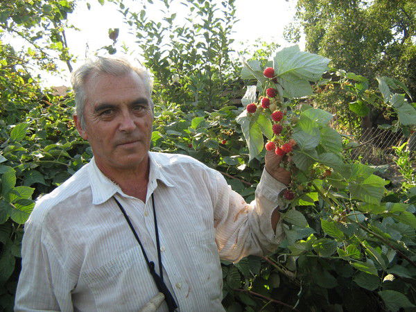 Владимир Зюзин