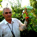 Владимир Зюзин
