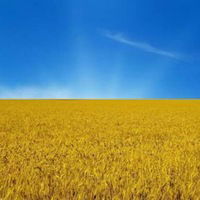 Микола Сімбаба