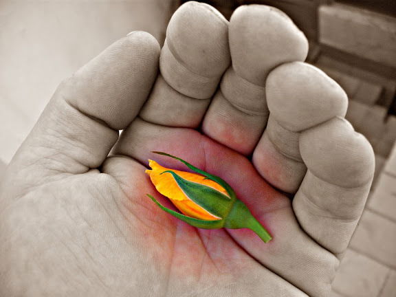 Виктор Шилов