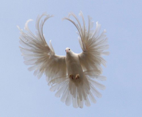 Евгений Викторович